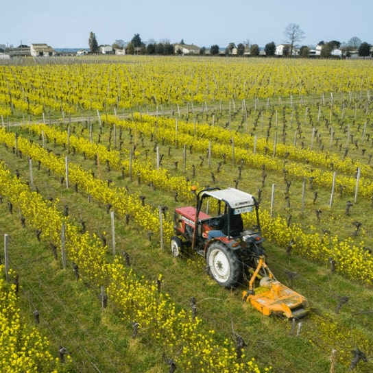 tractor in the vines