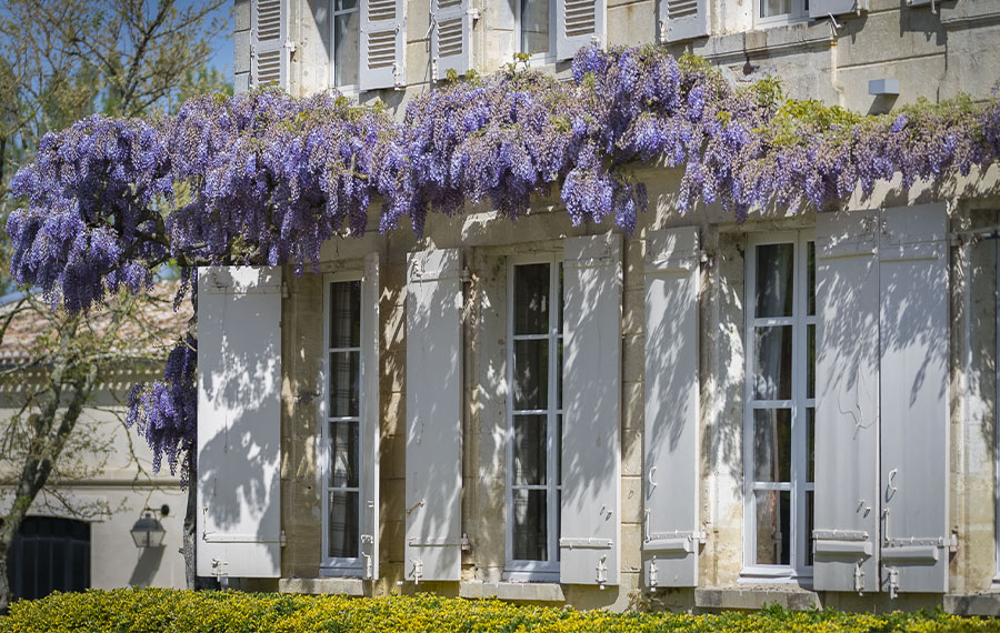 le chai du château